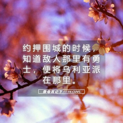 Picture 05 - 撒 母 耳 记 下 11:16 CUVS - 约 押 围 城 的 时 候 ， 知 道 敌 人 - Bible Verse Picture