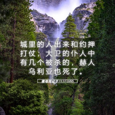 Picture 05 - 撒 母 耳 记 下 11:17 CUVS - 城 里 的 人 出 来 和 约 押 打 仗 ； - Bible Verse Picture