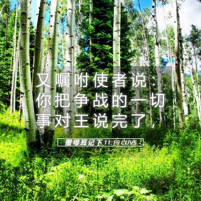 Picture 05 - 撒 母 耳 记 下 11:19 CUVS - 又 嘱 咐 使 者 说 ： 你 把 争 战 的 - Bible Verse Picture