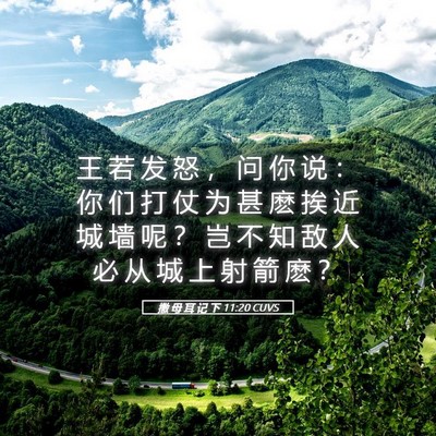 Picture 05 - 撒 母 耳 记 下 11:20 CUVS - 王 若 发 怒 ， 问 你 说 ： 你 们 打 - Bible Verse Picture