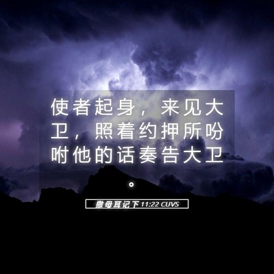 Picture 05 - 撒 母 耳 记 下 11:22 CUVS - 使 者 起 身 ， 来 见 大 卫 ， 照 着 - Bible Verse Picture