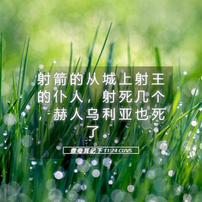 Picture 05 - 撒 母 耳 记 下 11:24 CUVS - 射 箭 的 从 城 上 射 王 的 仆 人 ， - Bible Verse Picture