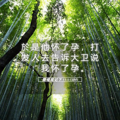 Picture 05 - 撒 母 耳 记 下 11:5 CUVS - 於 是 他 怀 了 孕 ， 打 发 人 去 告 - Bible Verse Picture