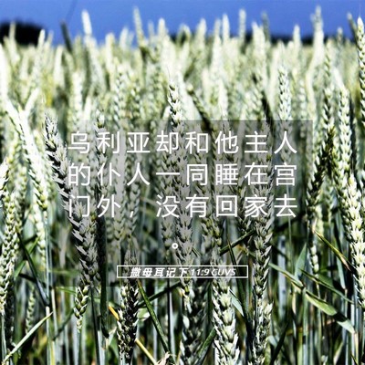 Picture 05 - 撒 母 耳 记 下 11:9 CUVS - 乌 利 亚 却 和 他 主 人 的 仆 人 一 - Bible Verse Picture