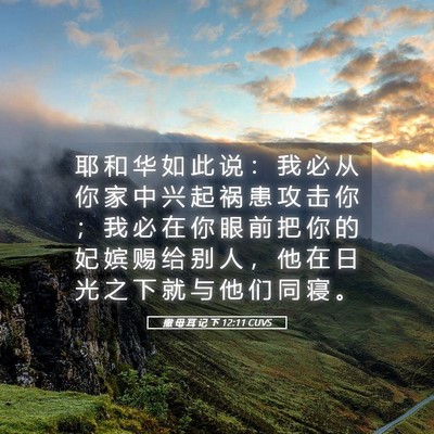 Picture 05 - 撒 母 耳 记 下 12:11 CUVS - 耶 和 华 如 此 说 ： 我 必 从 你 家 - Bible Verse Picture