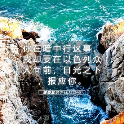 Picture 05 - 撒 母 耳 记 下 12:12 CUVS - 你 在 暗 中 行 这 事 ， 我 却 要 在 - Bible Verse Picture