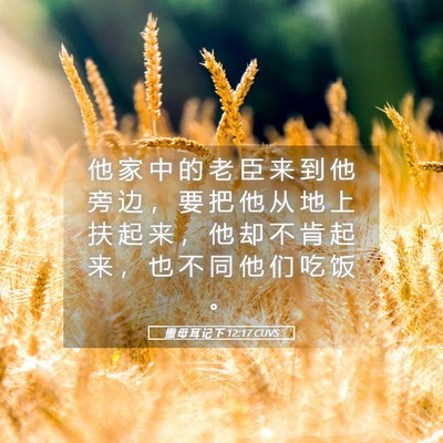 Picture 05 - 撒 母 耳 记 下 12:17 CUVS - 他 家 中 的 老 臣 来 到 他 旁 边 ， - Bible Verse Picture