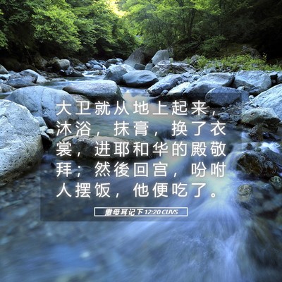 Picture 05 - 撒 母 耳 记 下 12:20 CUVS - 大 卫 就 从 地 上 起 来 ， 沐 浴 ， - Bible Verse Picture