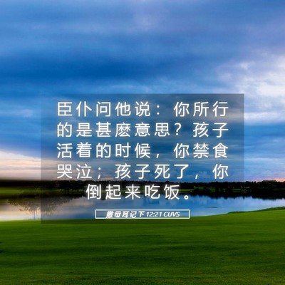Picture 05 - 撒 母 耳 记 下 12:21 CUVS - 臣 仆 问 他 说 ： 你 所 行 的 是 甚 - Bible Verse Picture