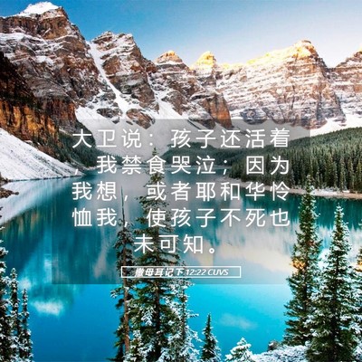 Picture 05 - 撒 母 耳 记 下 12:22 CUVS - 大 卫 说 ： 孩 子 还 活 着 ， 我 禁 - Bible Verse Picture