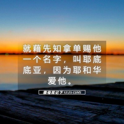 Picture 05 - 撒 母 耳 记 下 12:25 CUVS - 就 藉 先 知 拿 单 赐 他 一 个 名 字 - Bible Verse Picture