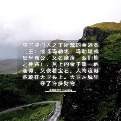 Picture 05 - 撒 母 耳 记 下 12:30 CUVS - 夺 了 亚 扪 人 之 王 所 戴 的 金 冠 - Bible Verse Picture