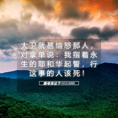 Picture 05 - 撒 母 耳 记 下 12:5 CUVS - 大 卫 就 甚 恼 怒 那 人 ， 对 拿 单 - Bible Verse Picture
