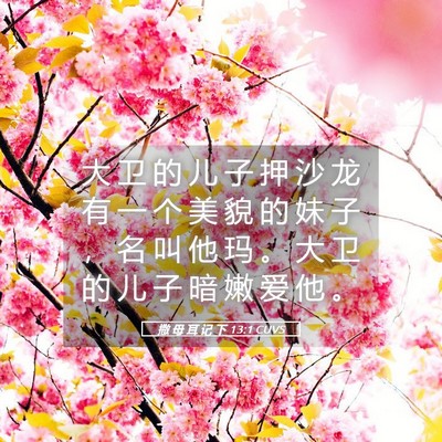 Picture 05 - 撒 母 耳 记 下 13:1 CUVS - 大 卫 的 儿 子 押 沙 龙 有 一 个 美 - Bible Verse Picture