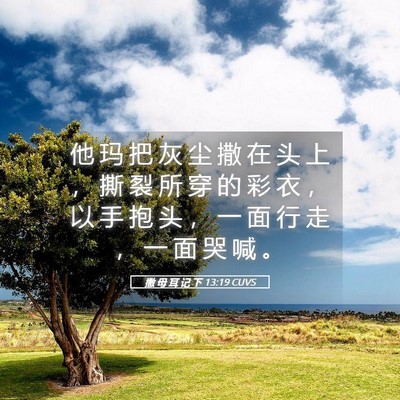 Picture 05 - 撒 母 耳 记 下 13:19 CUVS - 他 玛 把 灰 尘 撒 在 头 上 ， 撕 裂 - Bible Verse Picture