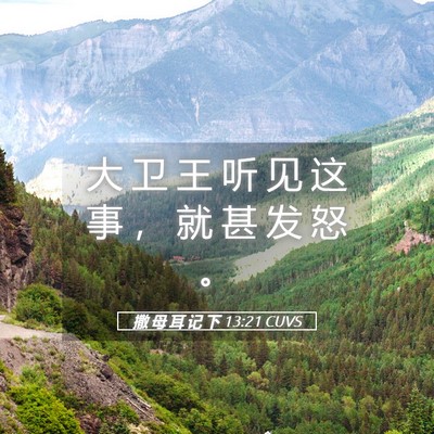 Picture 05 - 撒 母 耳 记 下 13:21 CUVS - 大 卫 王 听 见 这 事 ， 就 甚 发 怒 - Bible Verse Picture