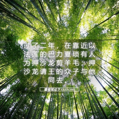 Picture 05 - 撒 母 耳 记 下 13:23 CUVS - 过 了 二 年 ， 在 靠 近 以 法 莲 的 - Bible Verse Picture