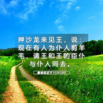 Picture 05 - 撒 母 耳 记 下 13:24 CUVS - 押 沙 龙 来 见 王 ， 说 ： 现 在 有 - Bible Verse Picture