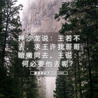 Picture 05 - 撒 母 耳 记 下 13:26 CUVS - 押 沙 龙 说 ： 王 若 不 去 ， 求 王 - Bible Verse Picture