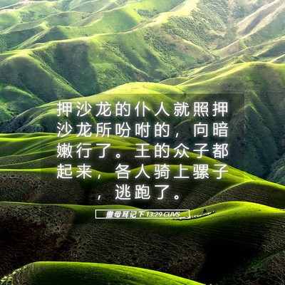 Picture 05 - 撒 母 耳 记 下 13:29 CUVS - 押 沙 龙 的 仆 人 就 照 押 沙 龙 所 - Bible Verse Picture