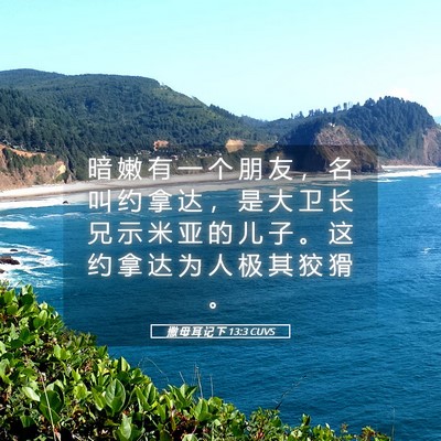 Picture 05 - 撒 母 耳 记 下 13:3 CUVS - 暗 嫩 有 一 个 朋 友 ， 名 叫 约 拿 - Bible Verse Picture