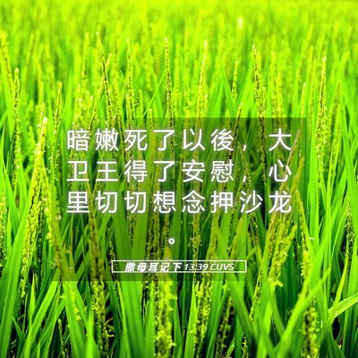 Picture 05 - 撒 母 耳 记 下 13:39 CUVS - 暗 嫩 死 了 以 後 ， 大 卫 王 得 了 - Bible Verse Picture