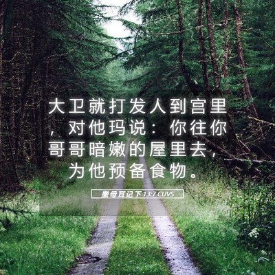 Picture 05 - 撒 母 耳 记 下 13:7 CUVS - 大 卫 就 打 发 人 到 宫 里 ， 对 他 - Bible Verse Picture