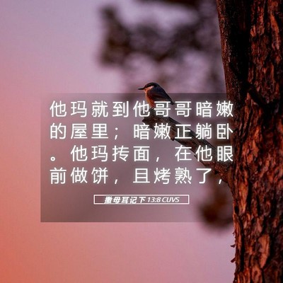 Picture 05 - 撒 母 耳 记 下 13:8 CUVS - 他 玛 就 到 他 哥 哥 暗 嫩 的 屋 里 - Bible Verse Picture