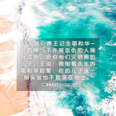 Picture 05 - 撒 母 耳 记 下 14:11 CUVS - 妇 人 说 ： 愿 王 记 念 耶 和 华 ─ - Bible Verse Picture