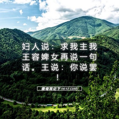 Picture 05 - 撒 母 耳 记 下 14:12 CUVS - 妇 人 说 ： 求 我 主 我 王 容 婢 女 - Bible Verse Picture