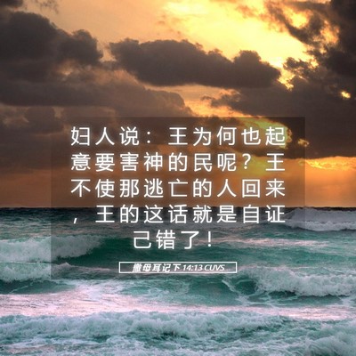 Picture 05 - 撒 母 耳 记 下 14:13 CUVS - 妇 人 说 ： 王 为 何 也 起 意 要 害 - Bible Verse Picture
