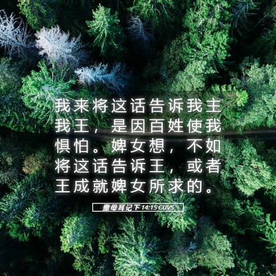 Picture 05 - 撒 母 耳 记 下 14:15 CUVS - 我 来 将 这 话 告 诉 我 主 我 王 ， - Bible Verse Picture