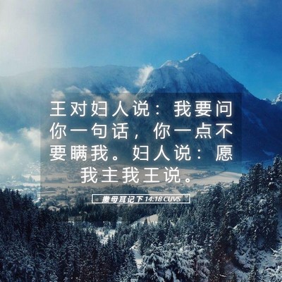 Picture 05 - 撒 母 耳 记 下 14:18 CUVS - 王 对 妇 人 说 ： 我 要 问 你 一 句 - Bible Verse Picture