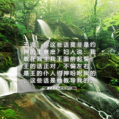 Picture 05 - 撒 母 耳 记 下 14:19 CUVS - 王 说 ： 你 这 些 话 莫 非 是 约 押 - Bible Verse Picture