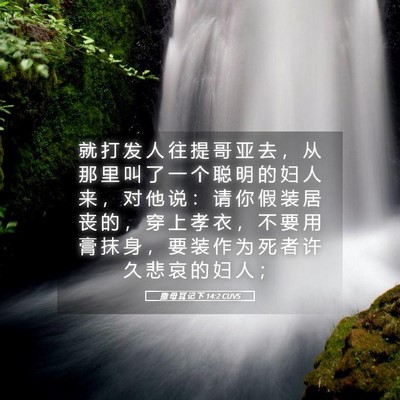 Picture 05 - 撒 母 耳 记 下 14:2 CUVS - 就 打 发 人 往 提 哥 亚 去 ， 从 那 - Bible Verse Picture