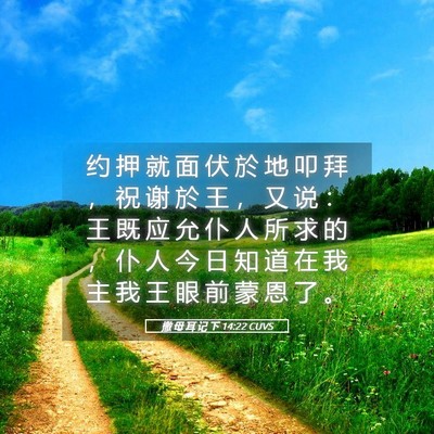 Picture 05 - 撒 母 耳 记 下 14:22 CUVS - 约 押 就 面 伏 於 地 叩 拜 ， 祝 谢 - Bible Verse Picture
