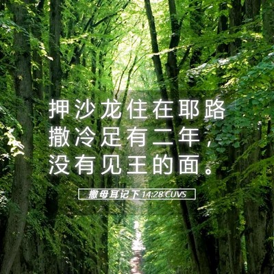 Picture 05 - 撒 母 耳 记 下 14:28 CUVS - 押 沙 龙 住 在 耶 路 撒 冷 足 有 二 - Bible Verse Picture