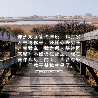 Picture 05 - 撒 母 耳 记 下 14:32 CUVS - 押 沙 龙 回 答 约 押 说 ： 我 打 发 - Bible Verse Picture