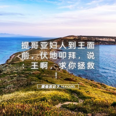 Picture 05 - 撒 母 耳 记 下 14:4 CUVS - 提 哥 亚 妇 人 到 王 面 前 ， 伏 地 - Bible Verse Picture