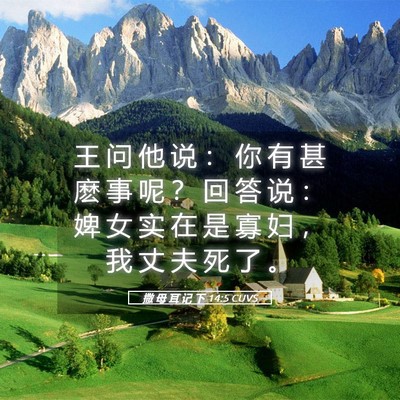 Picture 05 - 撒 母 耳 记 下 14:5 CUVS - 王 问 他 说 ： 你 有 甚 麽 事 呢 ？ - Bible Verse Picture