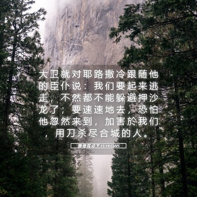 Picture 05 - 撒 母 耳 记 下 15:14 CUVS - 大 卫 就 对 耶 路 撒 冷 跟 随 他 的 - Bible Verse Picture