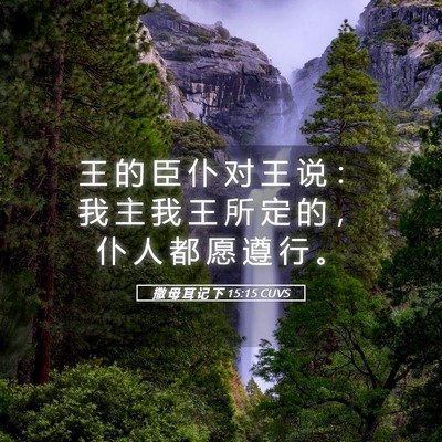 Picture 05 - 撒 母 耳 记 下 15:15 CUVS - 王 的 臣 仆 对 王 说 ： 我 主 我 王 - Bible Verse Picture