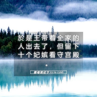 Picture 05 - 撒 母 耳 记 下 15:16 CUVS - 於 是 王 带 着 全 家 的 人 出 去 了 - Bible Verse Picture
