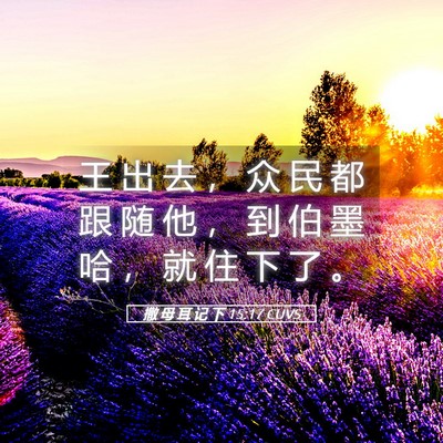 Picture 05 - 撒 母 耳 记 下 15:17 CUVS - 王 出 去 ， 众 民 都 跟 随 他 ， 到 - Bible Verse Picture