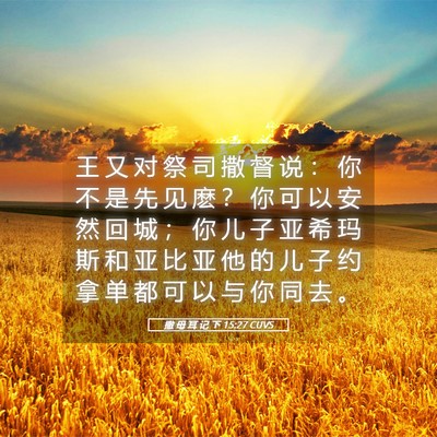 Picture 05 - 撒 母 耳 记 下 15:27 CUVS - 王 又 对 祭 司 撒 督 说 ： 你 不 是 - Bible Verse Picture
