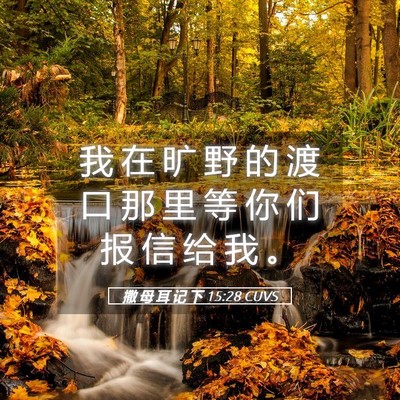 Picture 05 - 撒 母 耳 记 下 15:28 CUVS - 我 在 旷 野 的 渡 口 那 里 等 你 们 - Bible Verse Picture