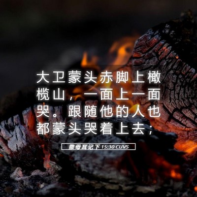 Picture 05 - 撒 母 耳 记 下 15:30 CUVS - 大 卫 蒙 头 赤 脚 上 橄 榄 山 ， 一 - Bible Verse Picture