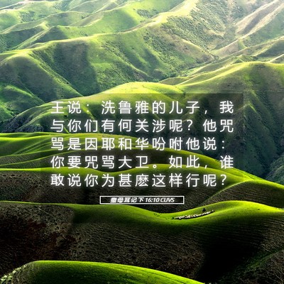Picture 05 - 撒 母 耳 记 下 16:10 CUVS - 王 说 ： 洗 鲁 雅 的 儿 子 ， 我 与 - Bible Verse Picture