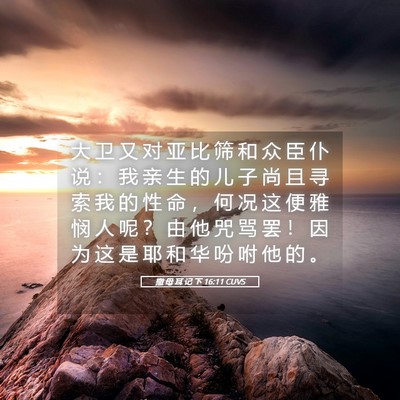 Picture 05 - 撒 母 耳 记 下 16:11 CUVS - 大 卫 又 对 亚 比 筛 和 众 臣 仆 说 - Bible Verse Picture