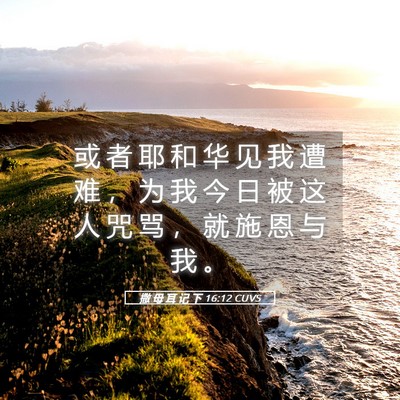 Picture 05 - 撒 母 耳 记 下 16:12 CUVS - 或 者 耶 和 华 见 我 遭 难 ， 为 我 - Bible Verse Picture